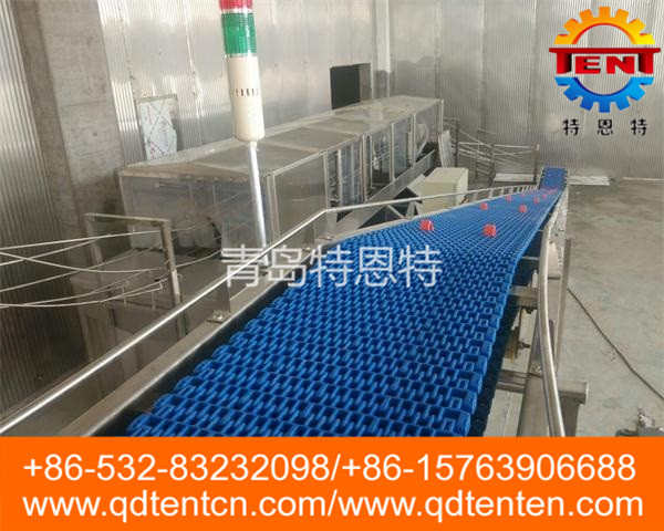 Split conveyor belt 3