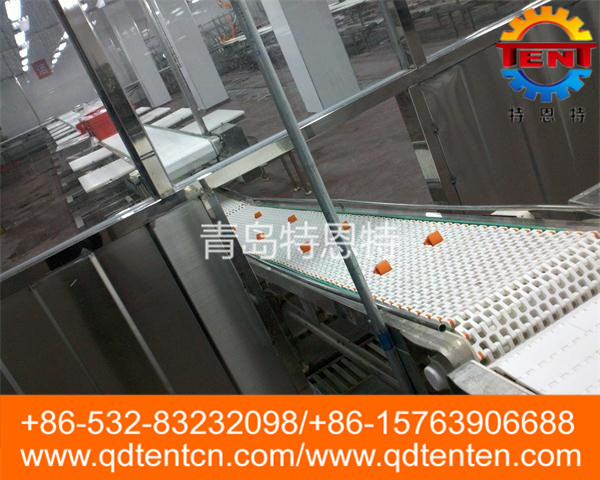 Split conveyor belt 2