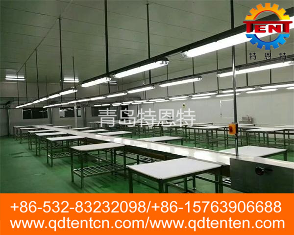 Split conveyor belt 1