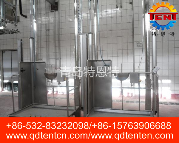 Double column pneumatic lifting platform
