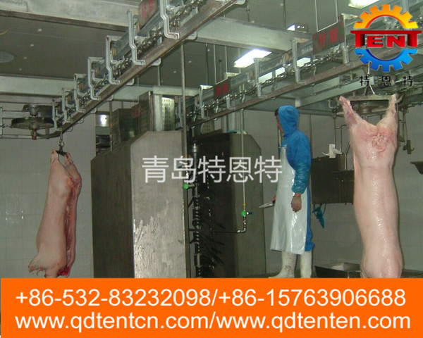 Pig washing machine after dehairing