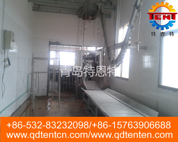 Flat plate conveyor