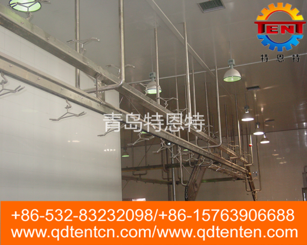 White strip automatic conveying line