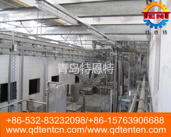 cattle head / red viscera synchronous inspection conveyor