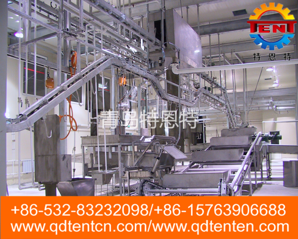 White viscera synchronous inspection conveyor